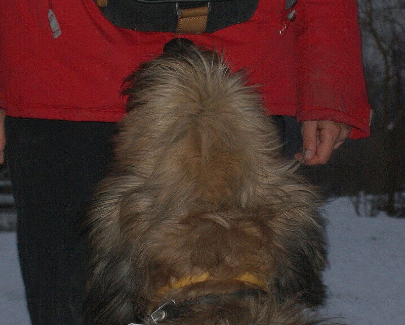 cuvee2.jpg